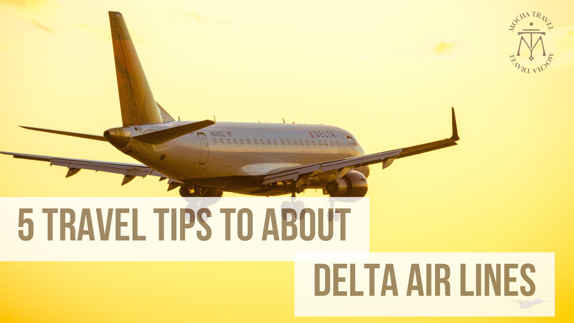 delta airlines travel tips